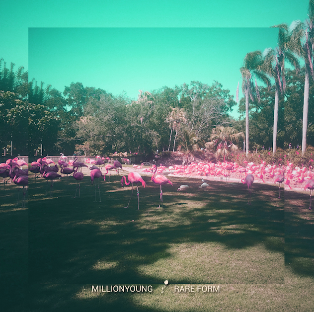 Millionyoung shares third track “What To Do”, ‘Rare Form’ is due April 13